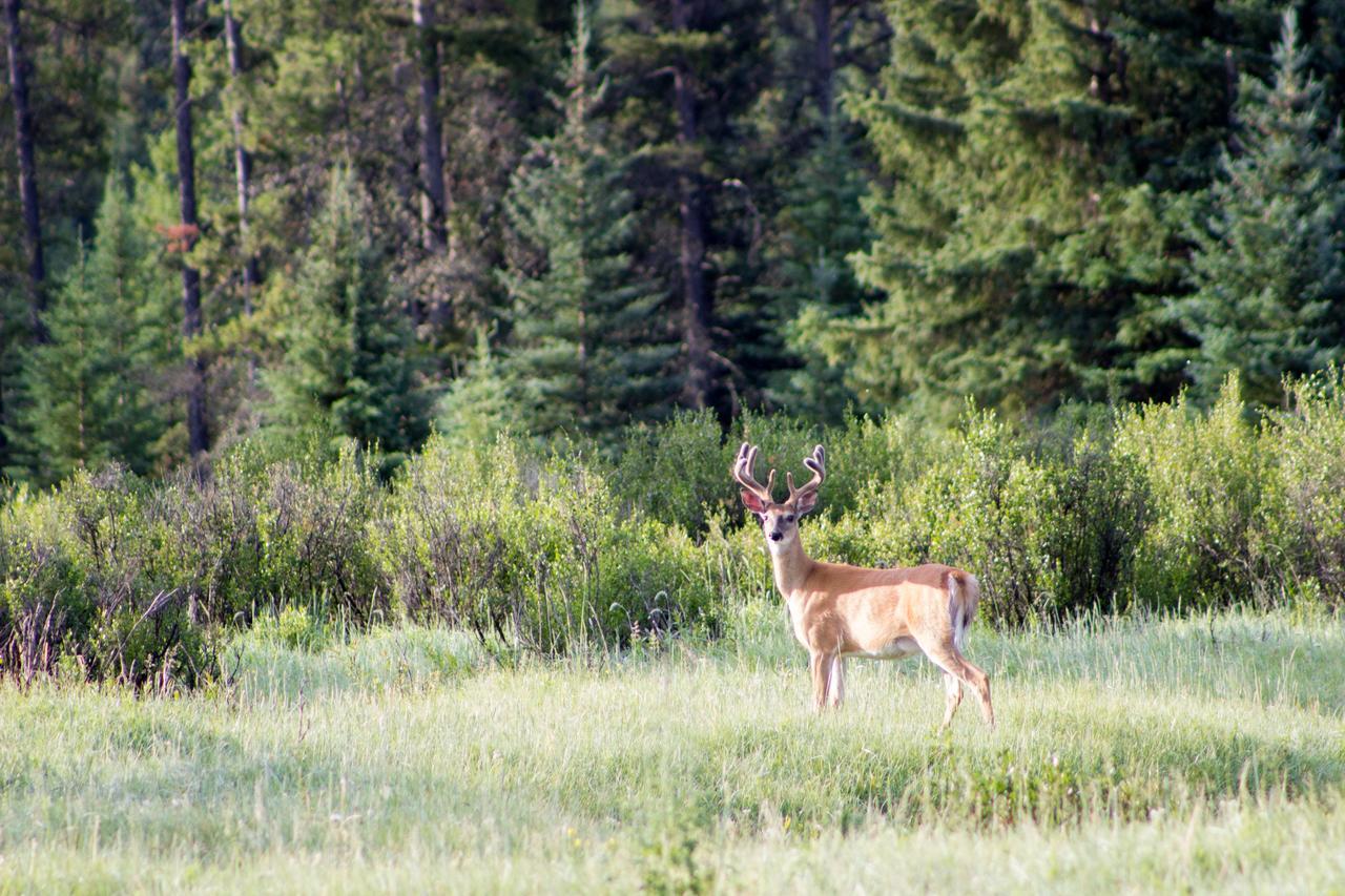 Rock Lake Lodge Rock Lake Lodge Provincial Park Luaran gambar